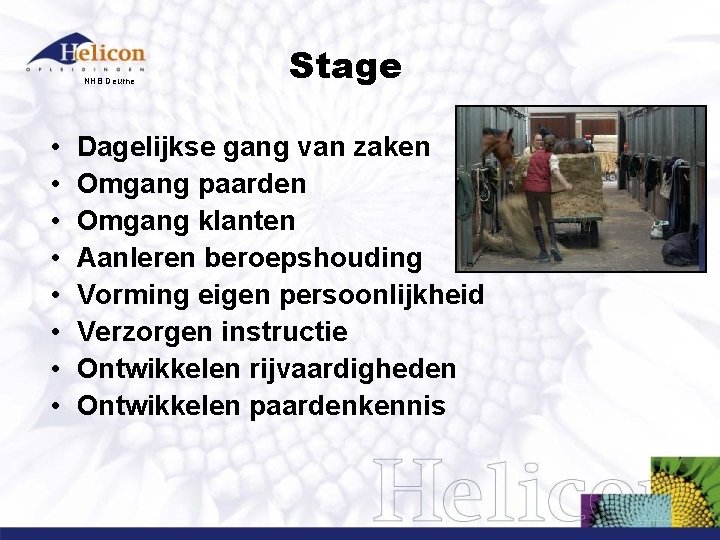 NHB Deurne • • Stage Dagelijkse gang van zaken Omgang paarden Omgang klanten Aanleren