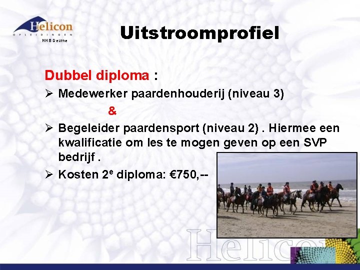 NHB Deurne Uitstroomprofiel Dubbel diploma : Ø Medewerker paardenhouderij (niveau 3) & Ø Begeleider