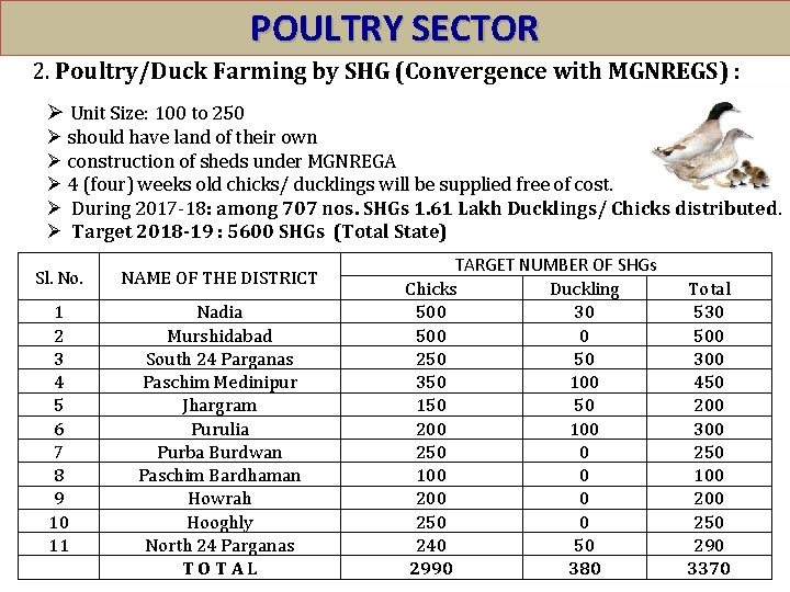 POULTRY SECTOR 2. Poultry/Duck Farming by SHG (Convergence with MGNREGS) : Ø Unit Size: