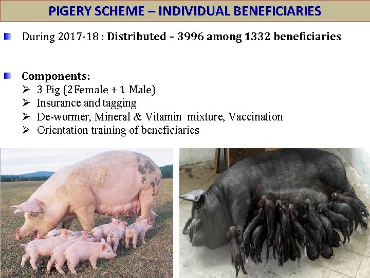 PIGERY SCHEME – INDIVIDUAL BENEFICIARIES During 2017 -18 : Distributed – 3996 among 1332