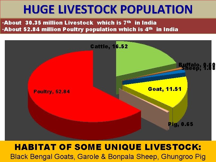 HUGE LIVESTOCK POPULATION • About 30. 35 million Livestock which is 7 th in