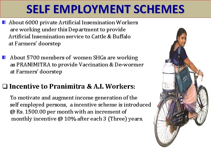 SELF EMPLOYMENT SCHEMES About 6000 private Artificial Insemination Workers are working under this Department