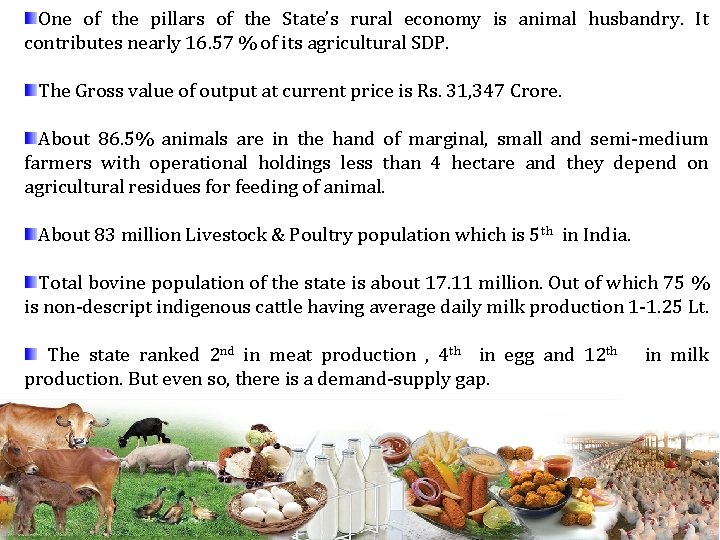 One of the pillars of the State’s rural economy is animal husbandry. It contributes