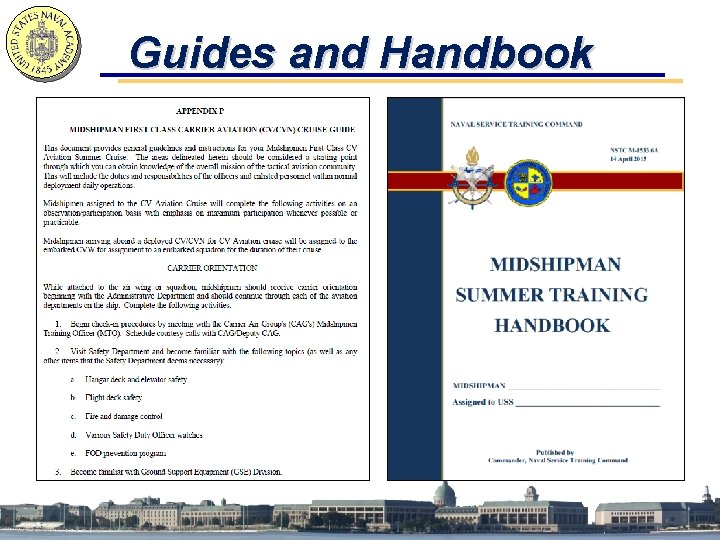Guides and Handbook 