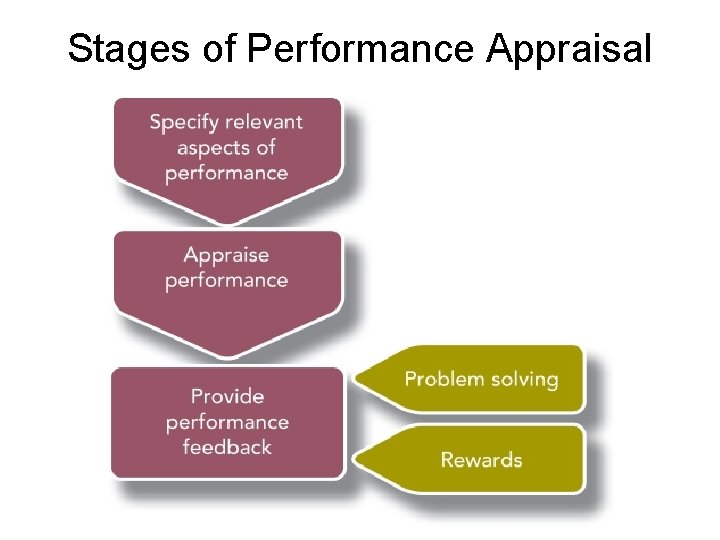 Stages of Performance Appraisal 