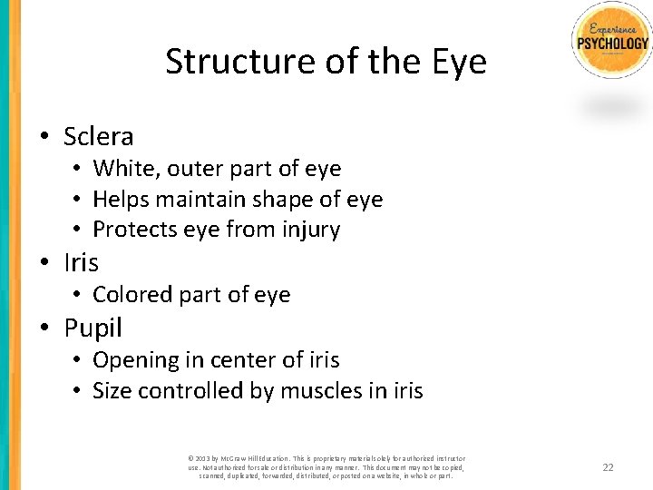 Structure of the Eye • Sclera • White, outer part of eye • Helps