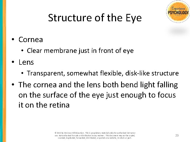 Structure of the Eye • Cornea • Clear membrane just in front of eye