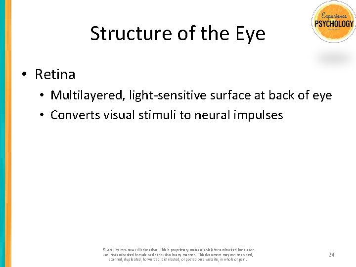 Structure of the Eye • Retina • Multilayered, light-sensitive surface at back of eye