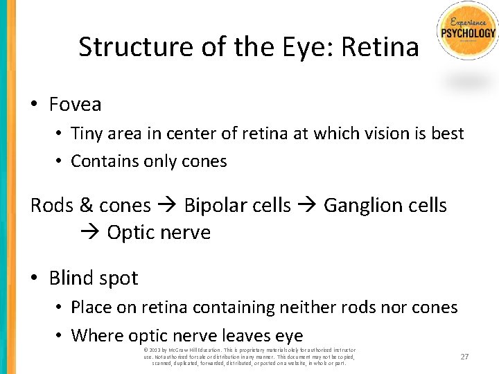 Structure of the Eye: Retina • Fovea • Tiny area in center of retina