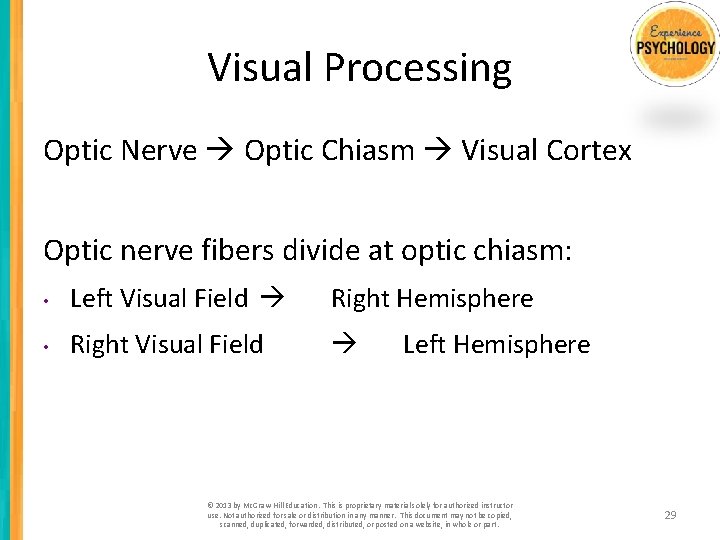 Visual Processing Optic Nerve Optic Chiasm Visual Cortex Optic nerve fibers divide at optic