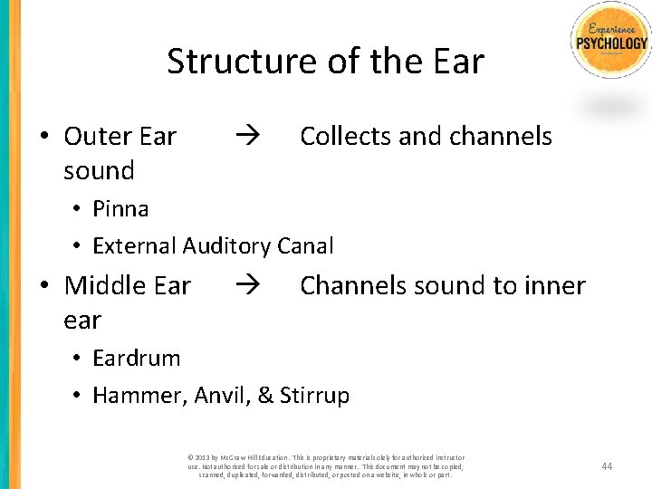 Structure of the Ear • Outer Ear sound Collects and channels • Pinna •