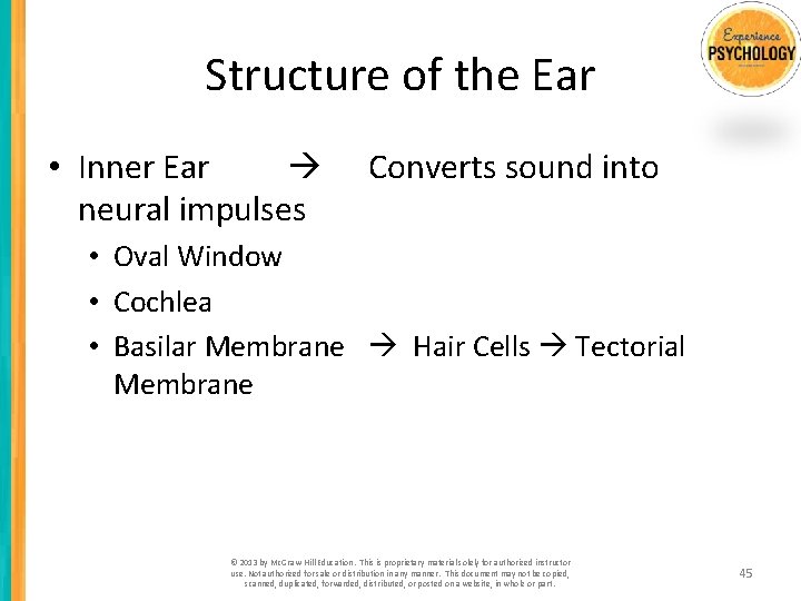 Structure of the Ear • Inner Ear neural impulses Converts sound into • Oval