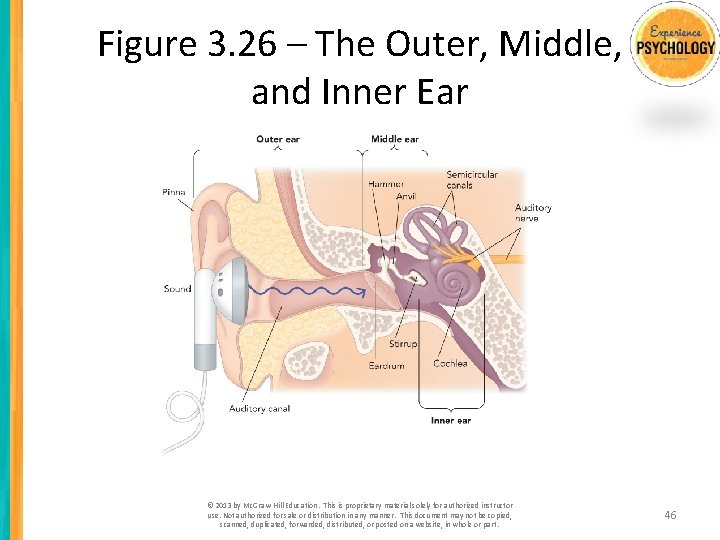 Figure 3. 26 – The Outer, Middle, and Inner Ear © 2013 by Mc.