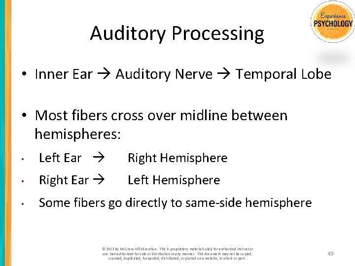 Auditory Processing • Inner Ear Auditory Nerve Temporal Lobe • Most fibers cross over