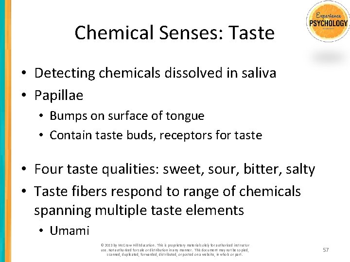 Chemical Senses: Taste • Detecting chemicals dissolved in saliva • Papillae • Bumps on