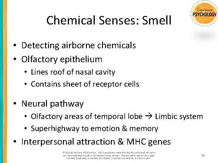 Chemical Senses: Smell • Detecting airborne chemicals • Olfactory epithelium • Lines roof of