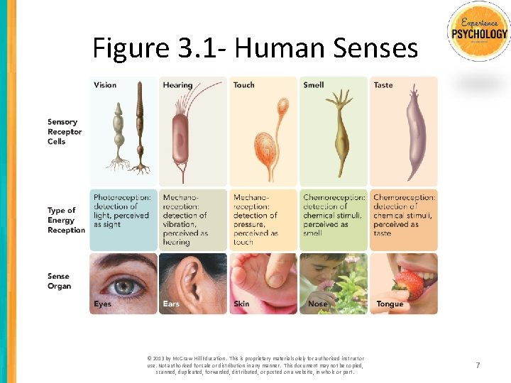 Figure 3. 1 - Human Senses © 2013 by Mc. Graw-Hill Education. This is