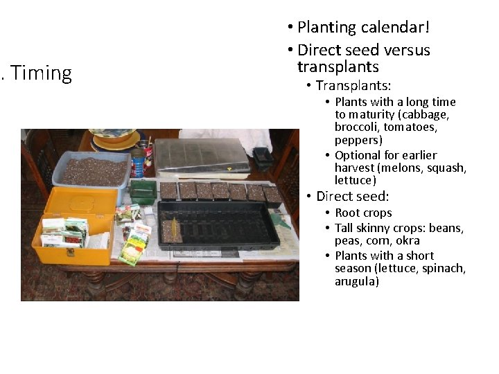 . Timing • Planting calendar! • Direct seed versus transplants • Transplants: • Plants