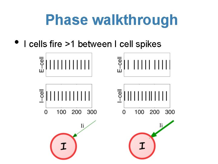 Phase walkthrough • I cells fire >1 between I cell spikes 