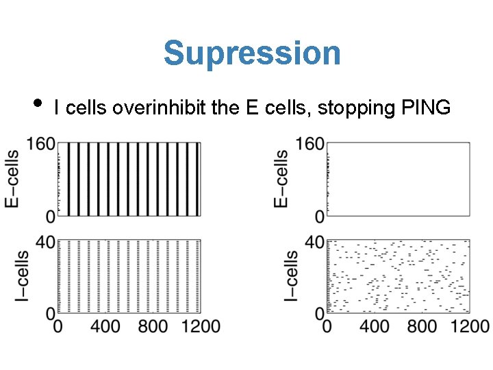 Supression • I cells overinhibit the E cells, stopping PING 