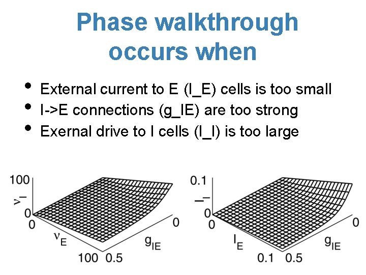 Phase walkthrough occurs when • • • External current to E (I_E) cells is