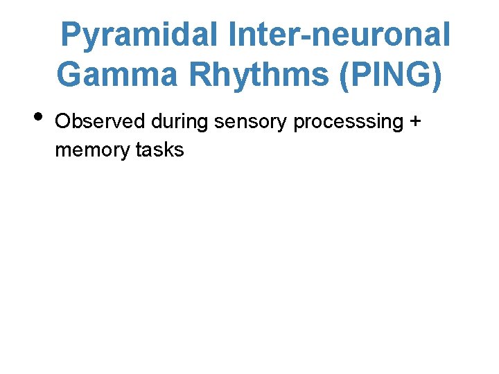 Pyramidal Inter-neuronal Gamma Rhythms (PING) • Observed during sensory processsing + memory tasks 
