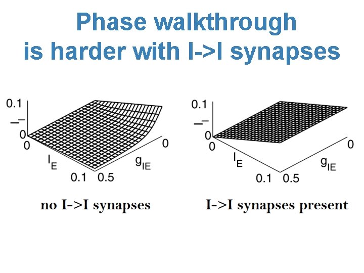 Phase walkthrough is harder with I->I synapses 