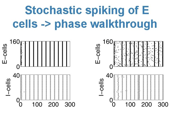 Stochastic spiking of E cells -> phase walkthrough 