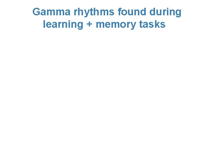 Gamma rhythms found during learning + memory tasks 