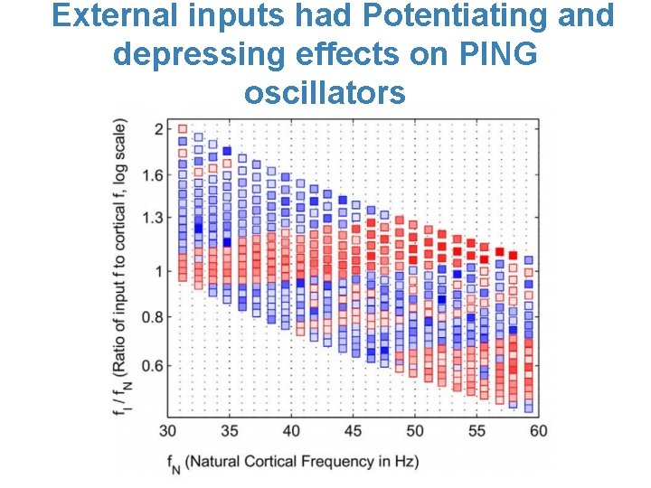 External inputs had Potentiating and depressing effects on PING oscillators 