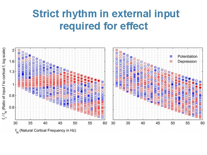 Strict rhythm in external input required for effect 