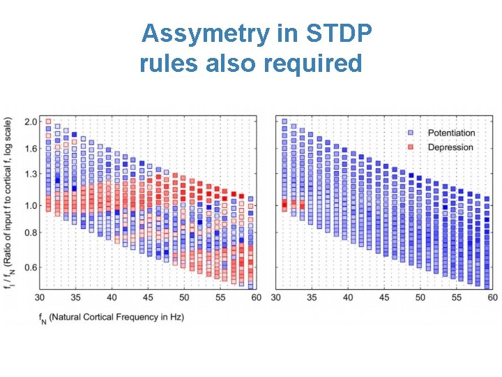 Assymetry in STDP rules also required 