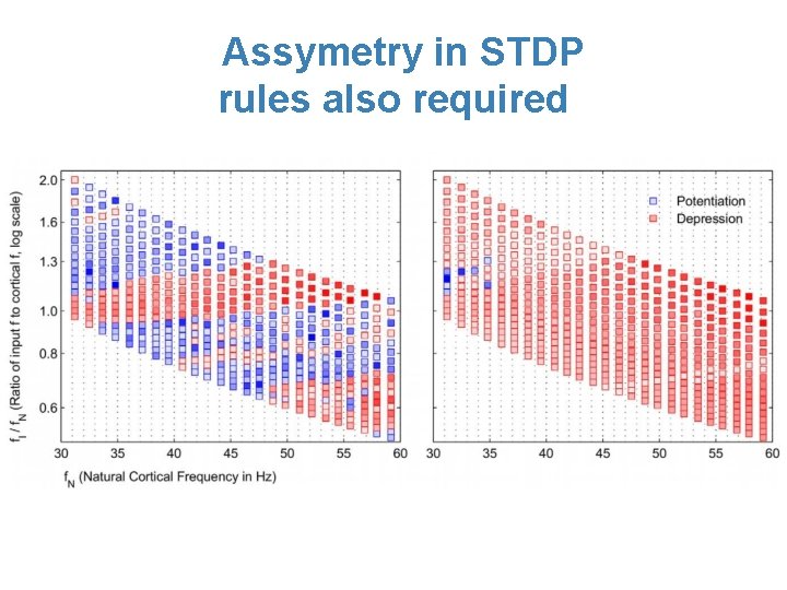 Assymetry in STDP rules also required 