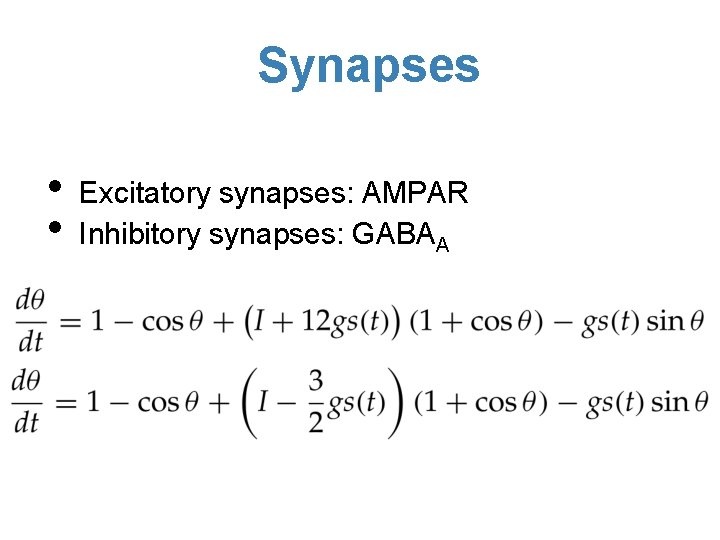 Synapses • • Excitatory synapses: AMPAR Inhibitory synapses: GABAA 