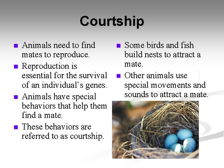 Courtship n n Animals need to find mates to reproduce. Reproduction is essential for