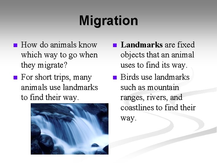 Migration n n How do animals know which way to go when they migrate?