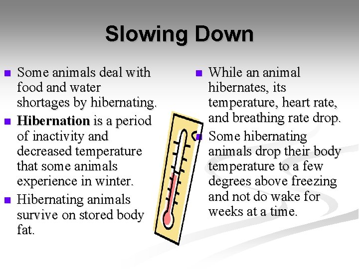 Slowing Down n Some animals deal with food and water shortages by hibernating. Hibernation