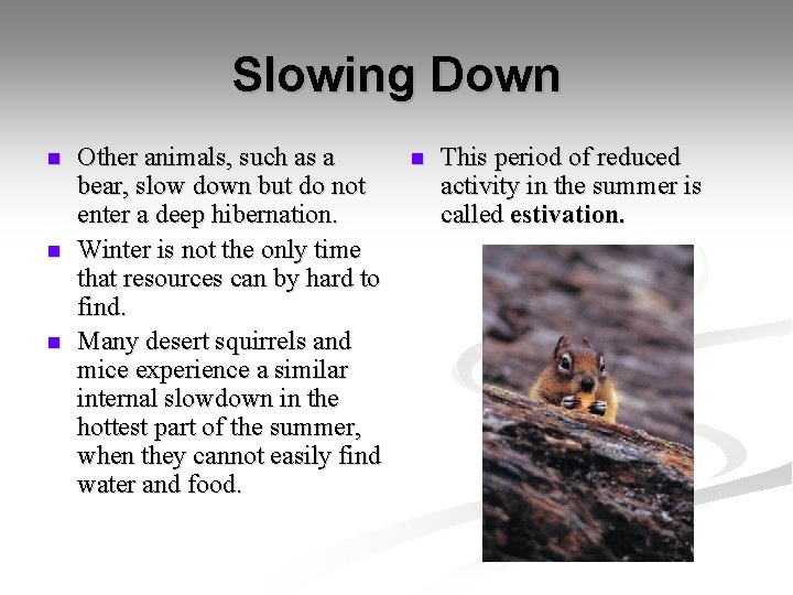 Slowing Down n Other animals, such as a bear, slow down but do not