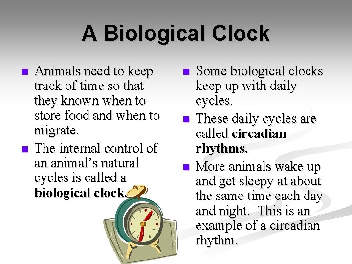 A Biological Clock n n Animals need to keep track of time so that