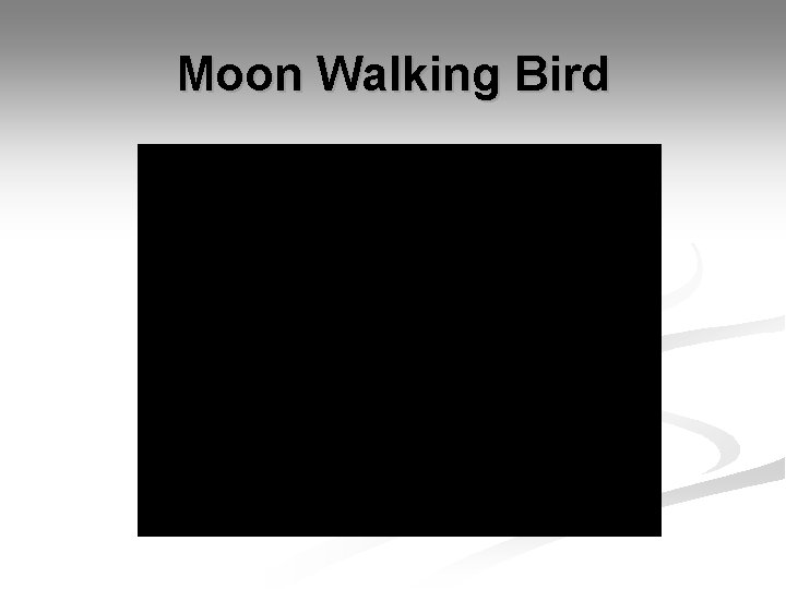 Moon Walking Bird 