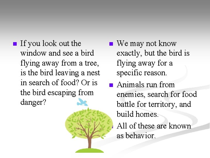 n If you look out the window and see a bird flying away from