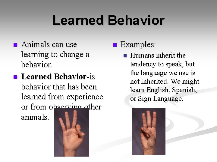 Learned Behavior n n Animals can use learning to change a behavior. Learned Behavior-is