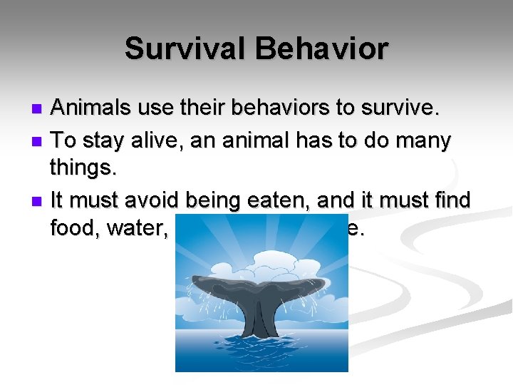 Survival Behavior Animals use their behaviors to survive. n To stay alive, an animal