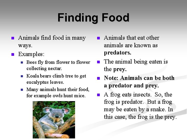 Finding Food n n Animals find food in many ways. Examples: n n n