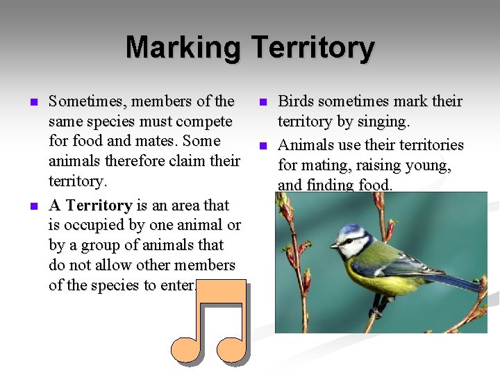 Marking Territory n n Sometimes, members of the same species must compete for food