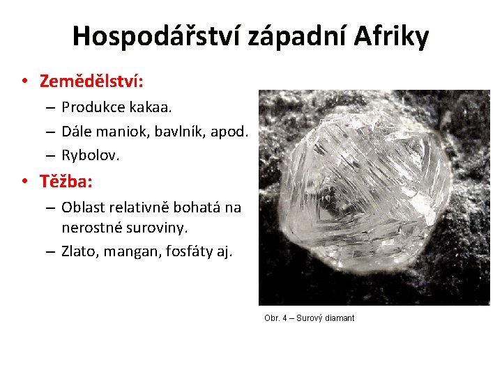 Hospodářství západní Afriky • Zemědělství: – Produkce kakaa. – Dále maniok, bavlník, apod. –