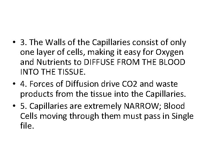  • 3. The Walls of the Capillaries consist of only one layer of