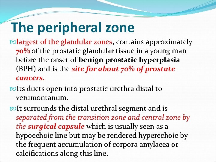 The peripheral zone largest of the glandular zones, contains approximately 70% of the prostatic