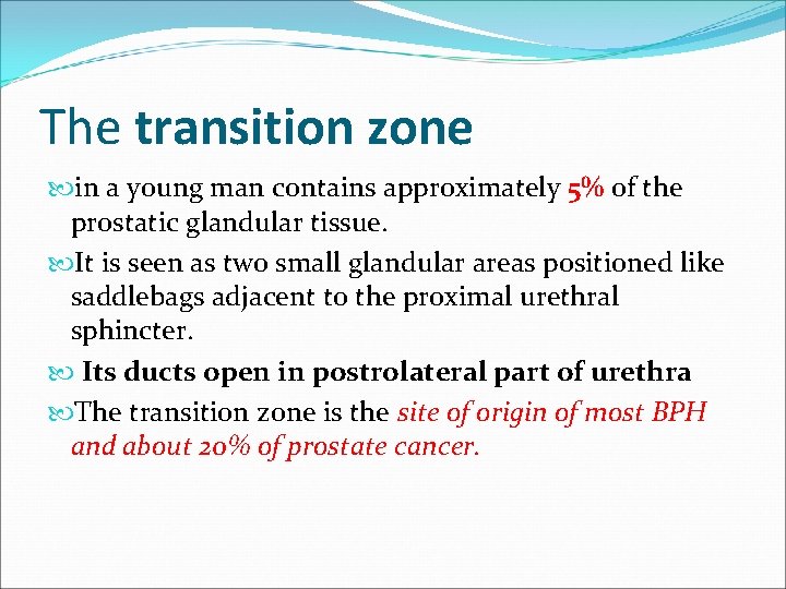 The transition zone in a young man contains approximately 5% of the prostatic glandular