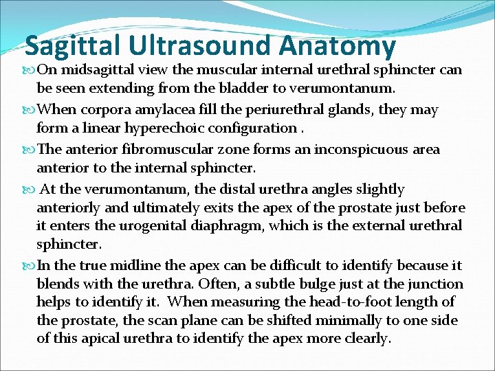Sagittal Ultrasound Anatomy On midsagittal view the muscular internal urethral sphincter can be seen